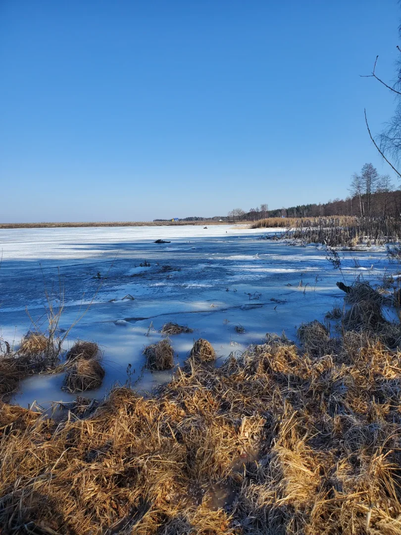 Вилейское водохранилище — фото 9