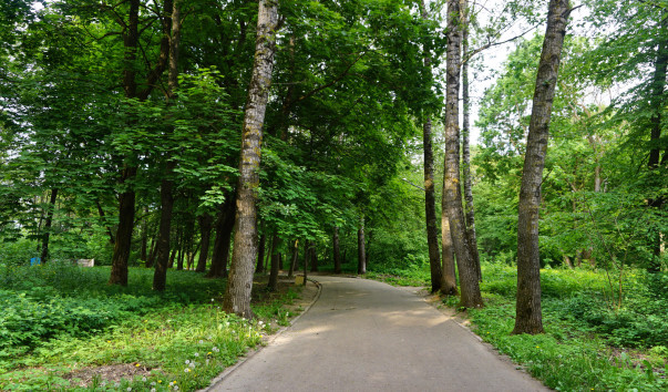 Парк Румлево в Гродно — фото 2