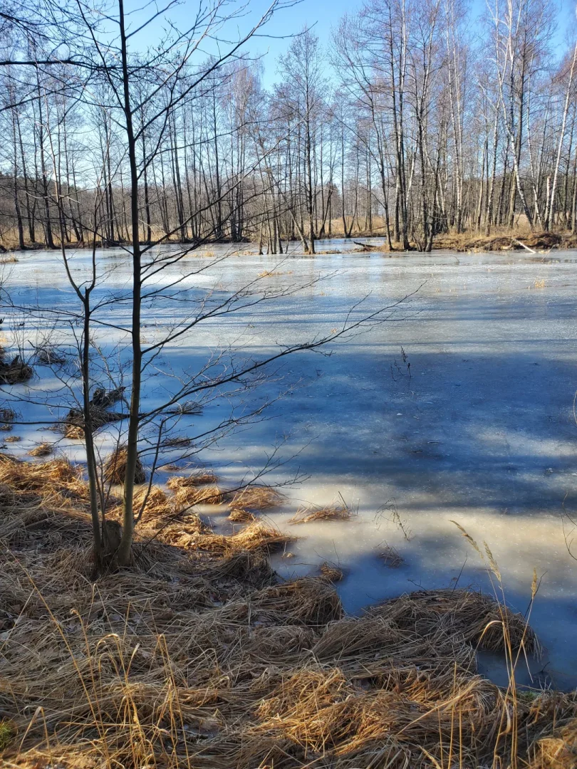 Вилейское водохранилище