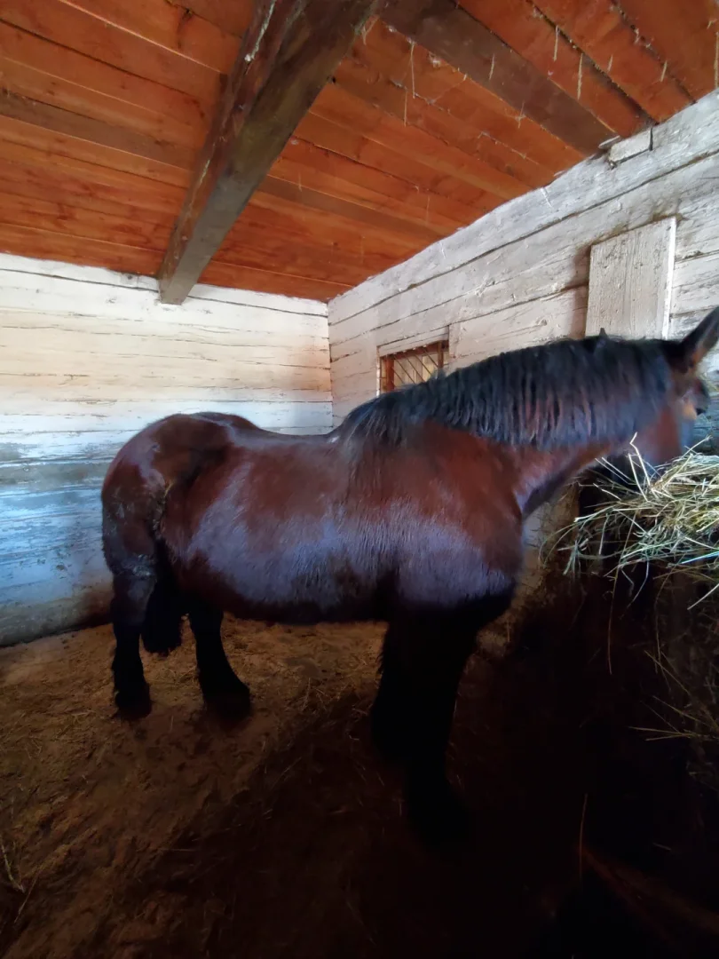Парк-музей интерактивной истории Сула — фото 66