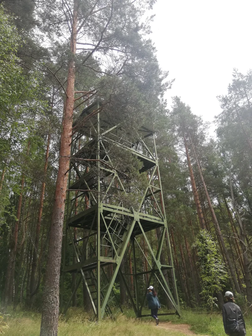 Лесная вышка в Березинском биосферном заповеднике, Беларусь.