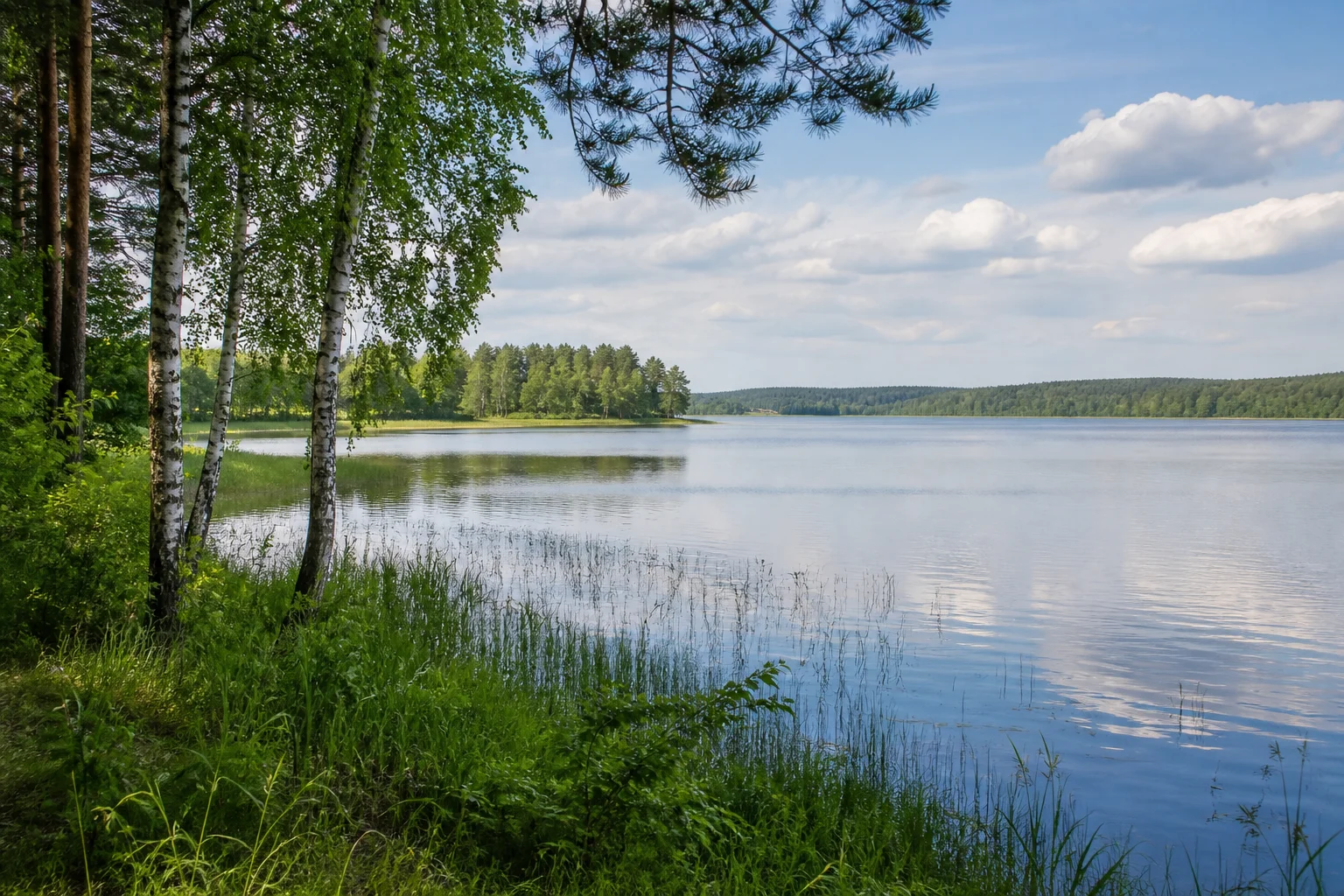 Лепельский район. Озеро Неколочь
