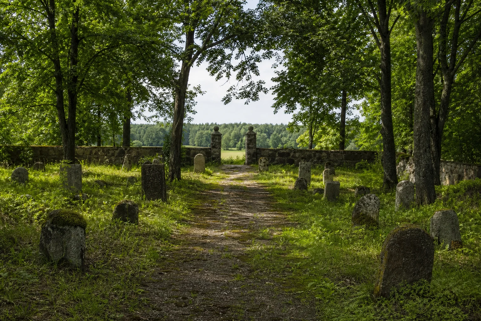 Петревичи, кладбище татарское