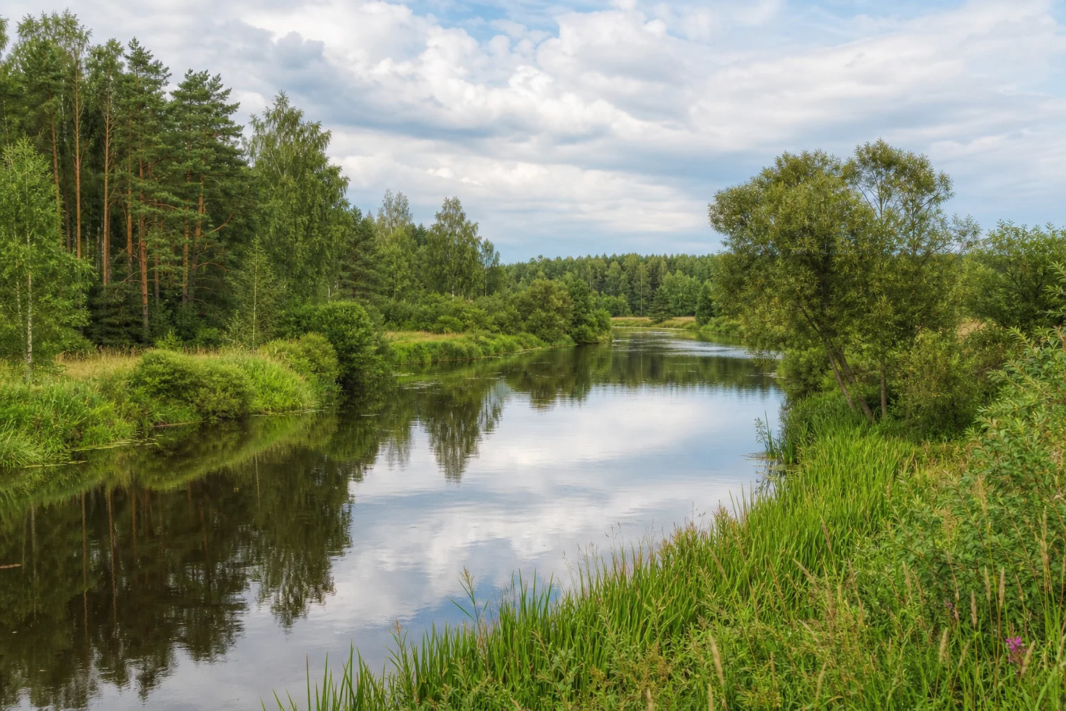Река Рова