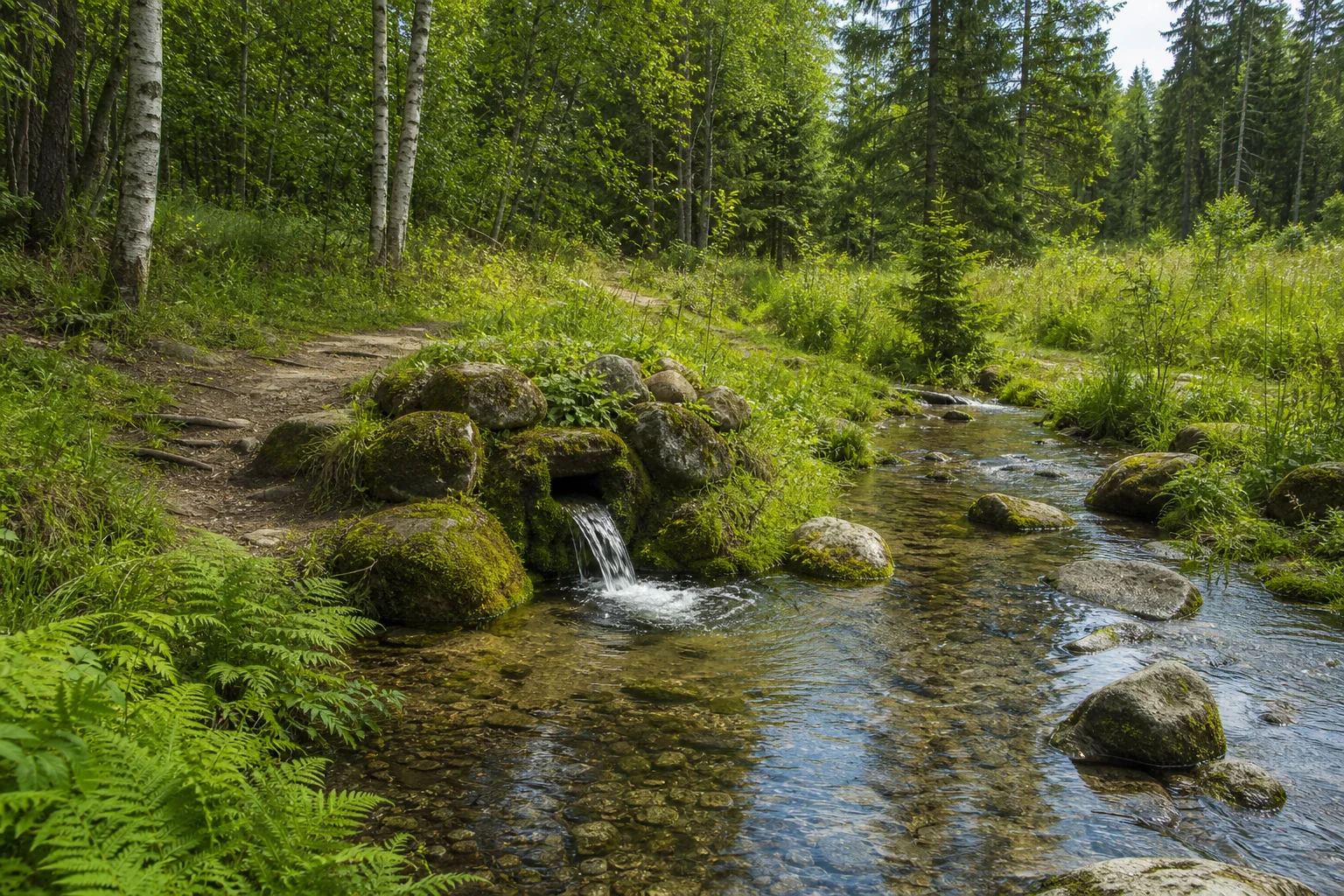 Родник «Святая вода Дехтяревская»