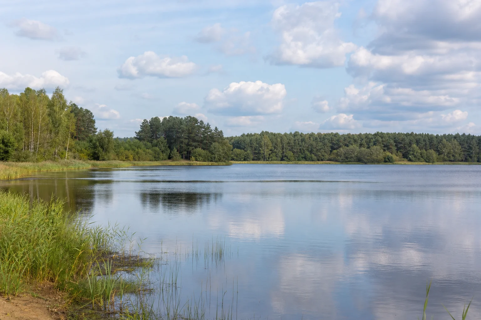 Волчковичское водохранилище