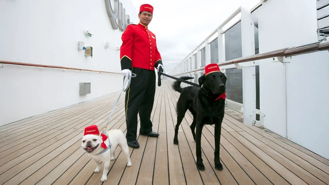 Кеннел-мастер на Queen Mary 2: как ухаживают за 24 кошками и собаками в трансатлантических рейсах