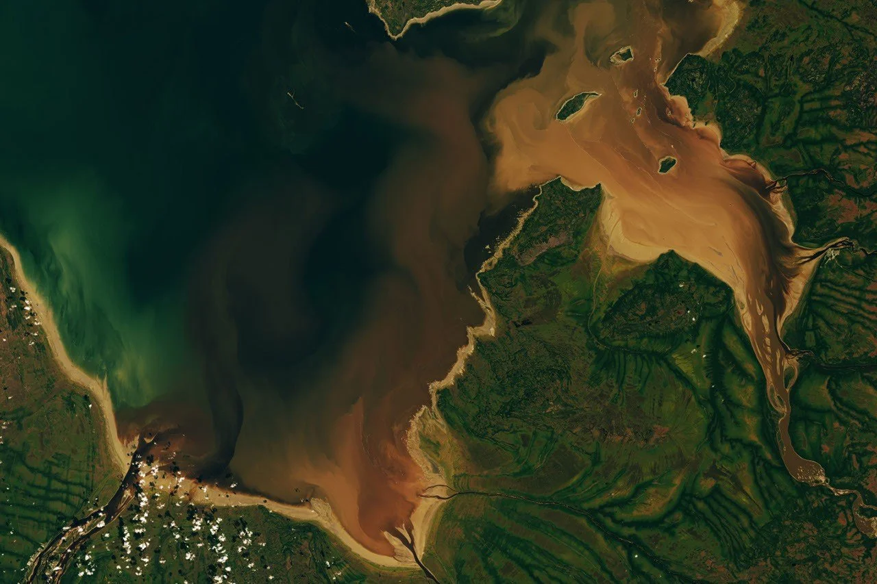 Landsat 9 показал коричневые воды заливов Руперт и Ханна