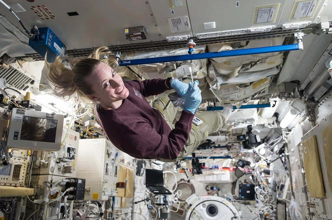 Микробы с Земли могут выжить на Южном полюсе Луны: исследование NASA