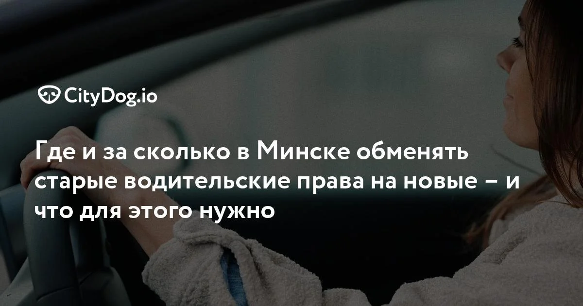 Как обменять водительские права в Минске: адреса, документы, стоимость