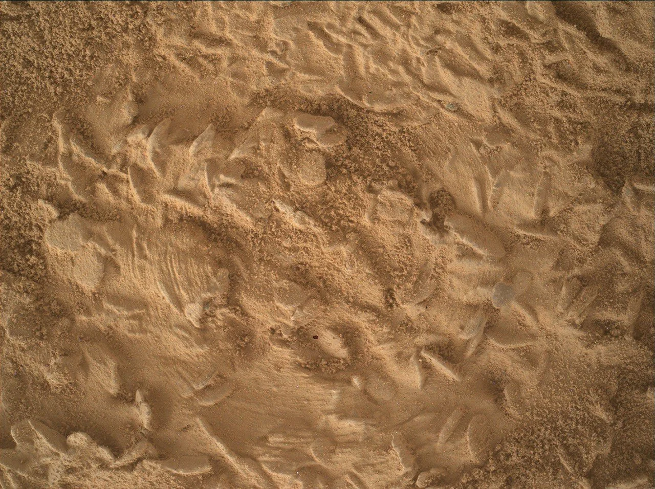Curiosity готовится бурить камень с кристаллическими «дисками» на Марсе