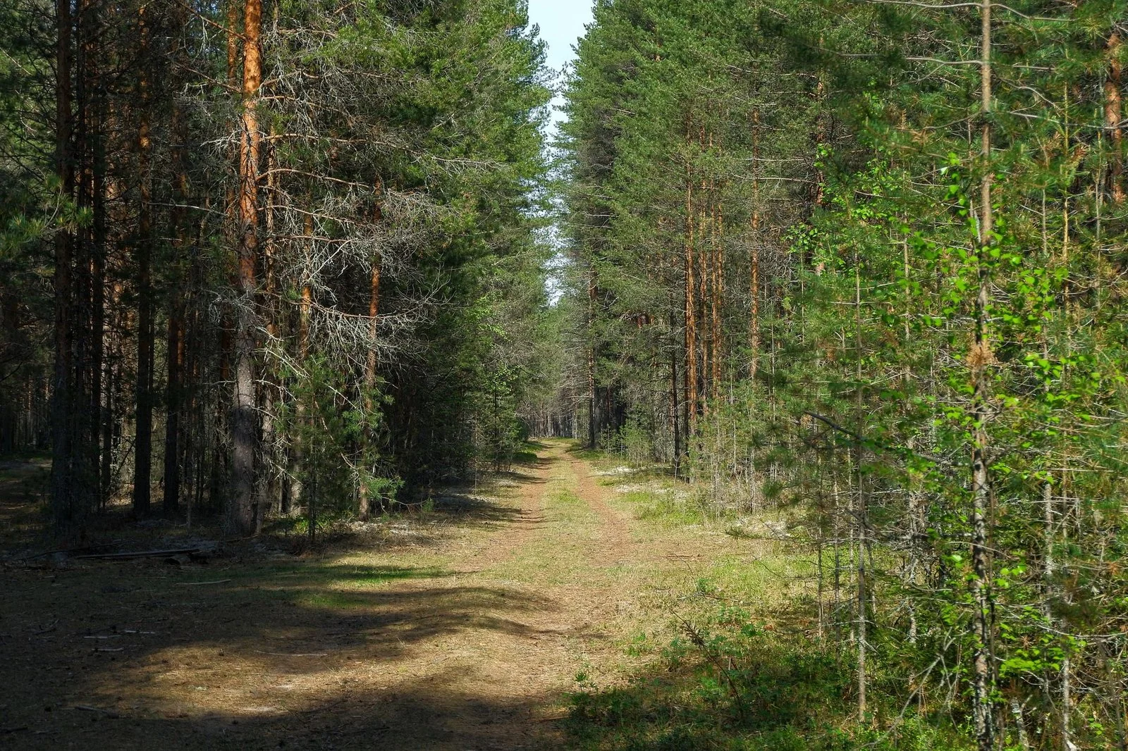 Безопасность на охоте в Орше: что проверить перед выездом