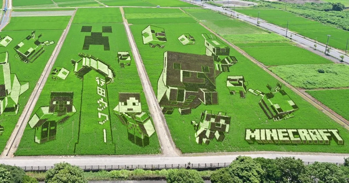 В Японии на рисовом поле изобразили сцену из Minecraft