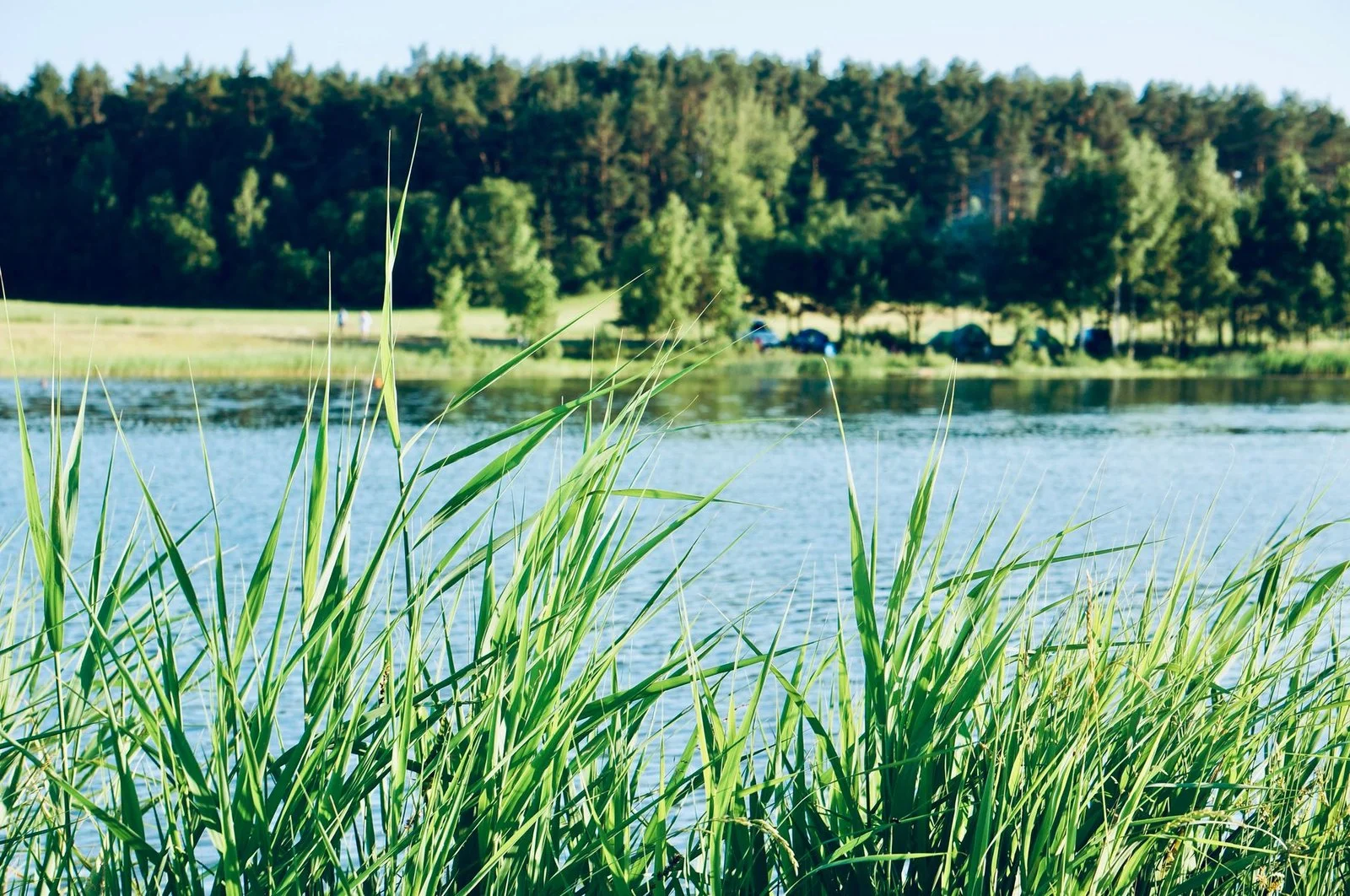 Рыбалка с берега на Вилейском водохранилище: куда ехать осенью 2026 года