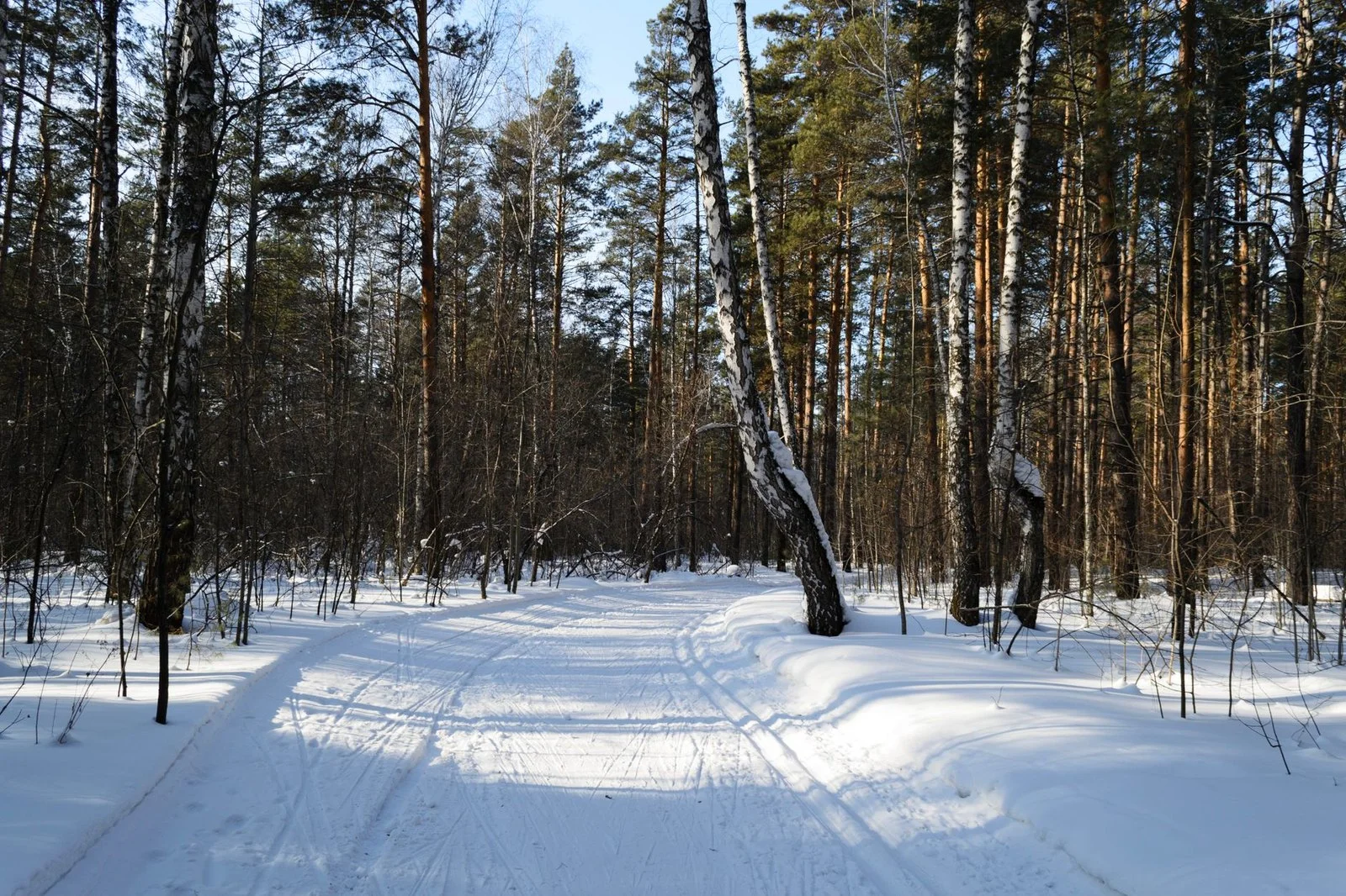 Где кататься на лыжах в Беларуси в 2026 году: Раубичи, Логойск, Стайки и маршруты на выходные