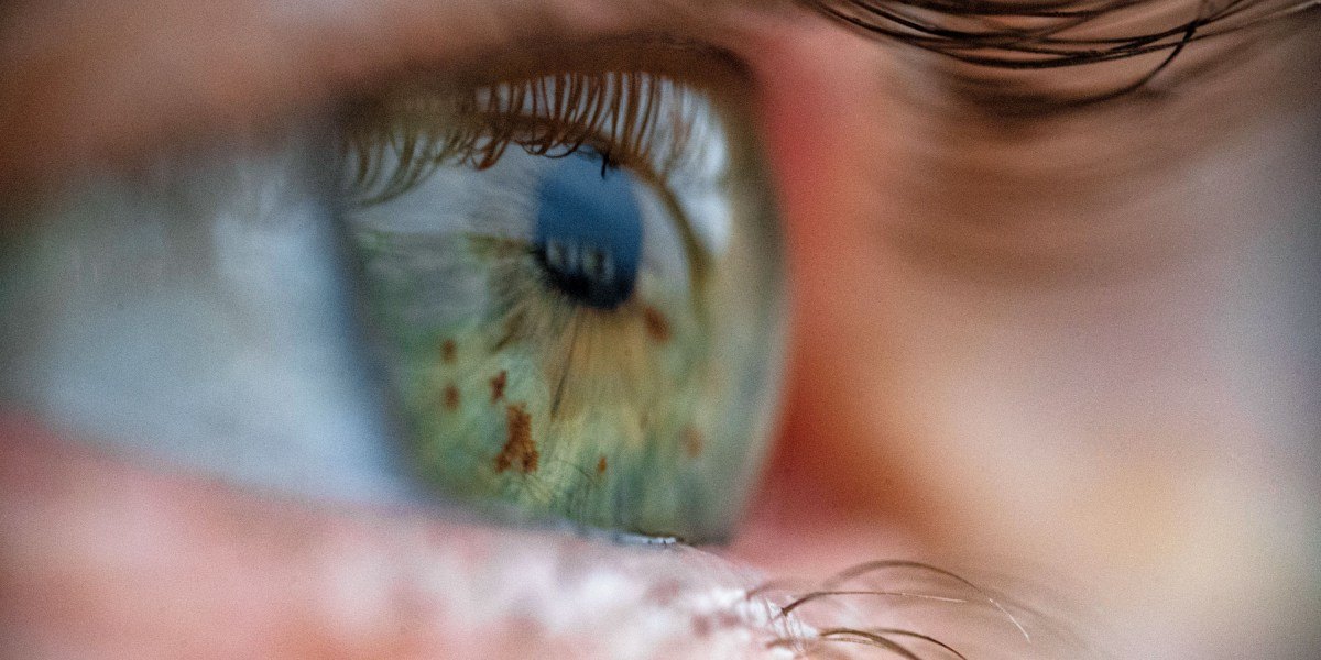Разработано устройство для поддержания жизнеспособности донорских глаз