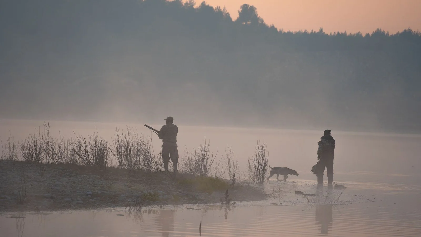 Подранок на охоте в Беларуси: где чаще ошибаются и что проверить до выезда