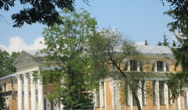 "Дворец снов" в агрогородке Снов