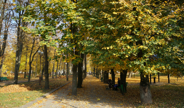 Молодой парк в Барановичах — фото 4