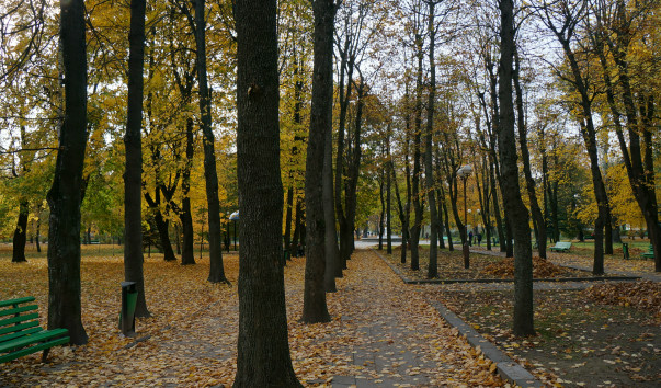 Молодой парк в Барановичах — фото 3