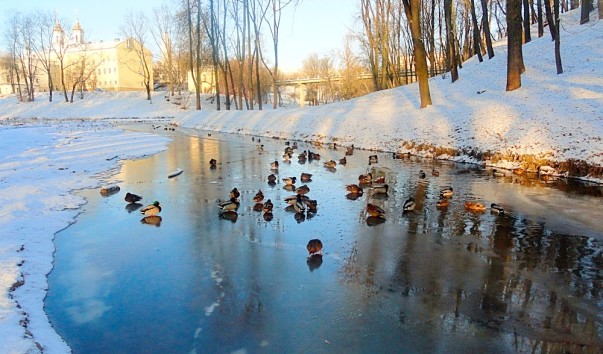 Гапеев ручей в Витебске — фото 4