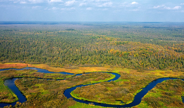Березинский заповедник