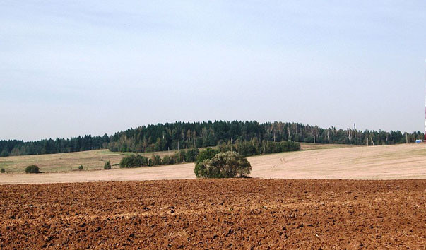 Гора Маяк в деревне Шаповалы