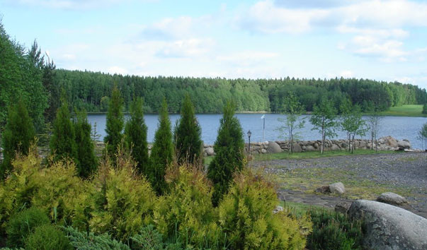 Озеро Бурые