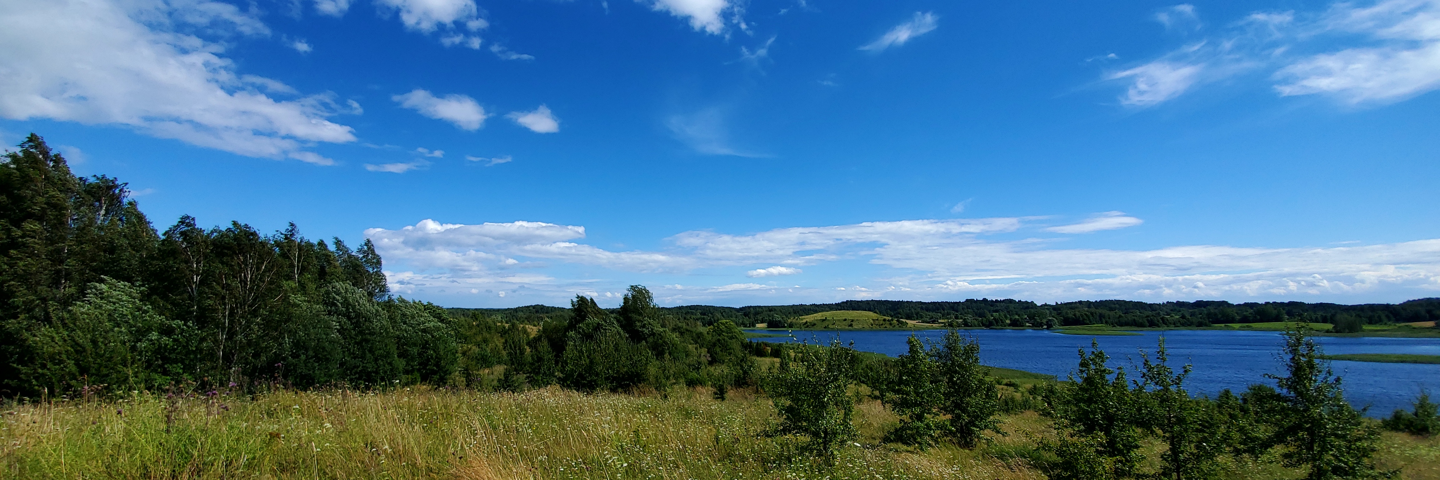 Полуостров Масковичи (панорамная точка) — фото 5