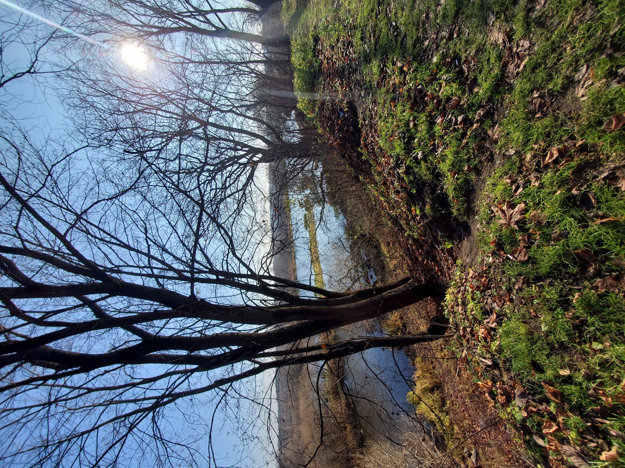Усадьба Потоцких в Березино — фото 9