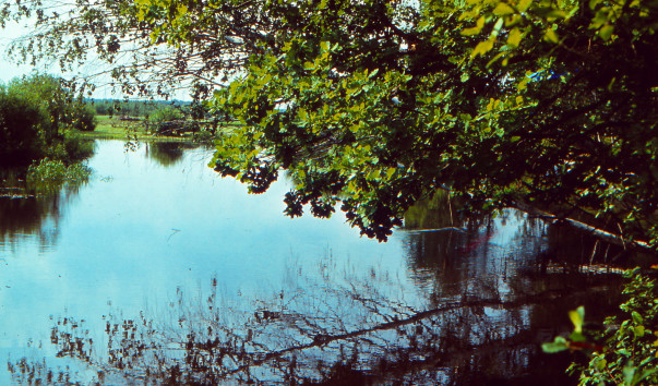 Река Березина — фото 3