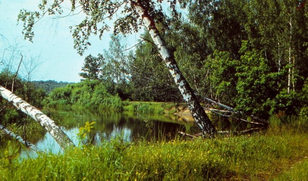 Река Березина