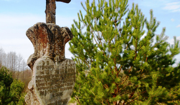 Свято-Елисеевский Лавришевский мужской монастырь в Гнесичах — фото 3