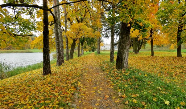 Регулярный парк Мирского замка — фото 4