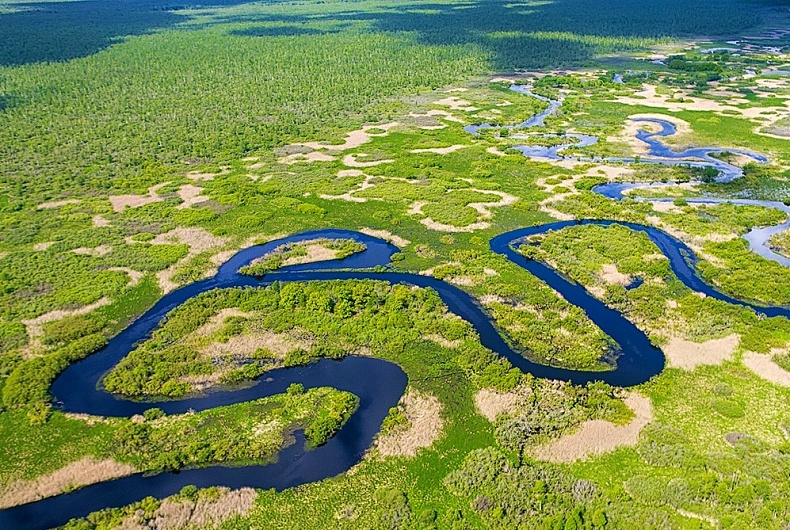Березинский заповедник